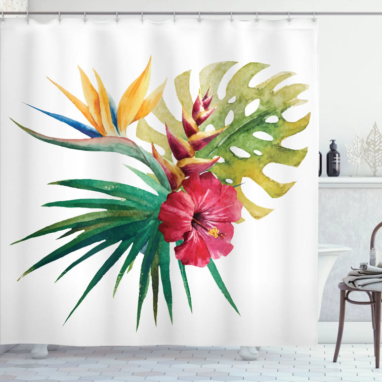 Bayou Breeze Aquilina Wild Tropical Orchid Shower Curtain + Hooks